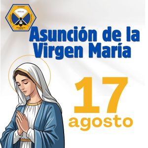 Avisos Importantes (44)