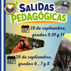 Avisos Importantes (90)