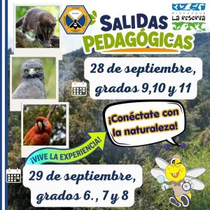 Avisos Importantes (94)
